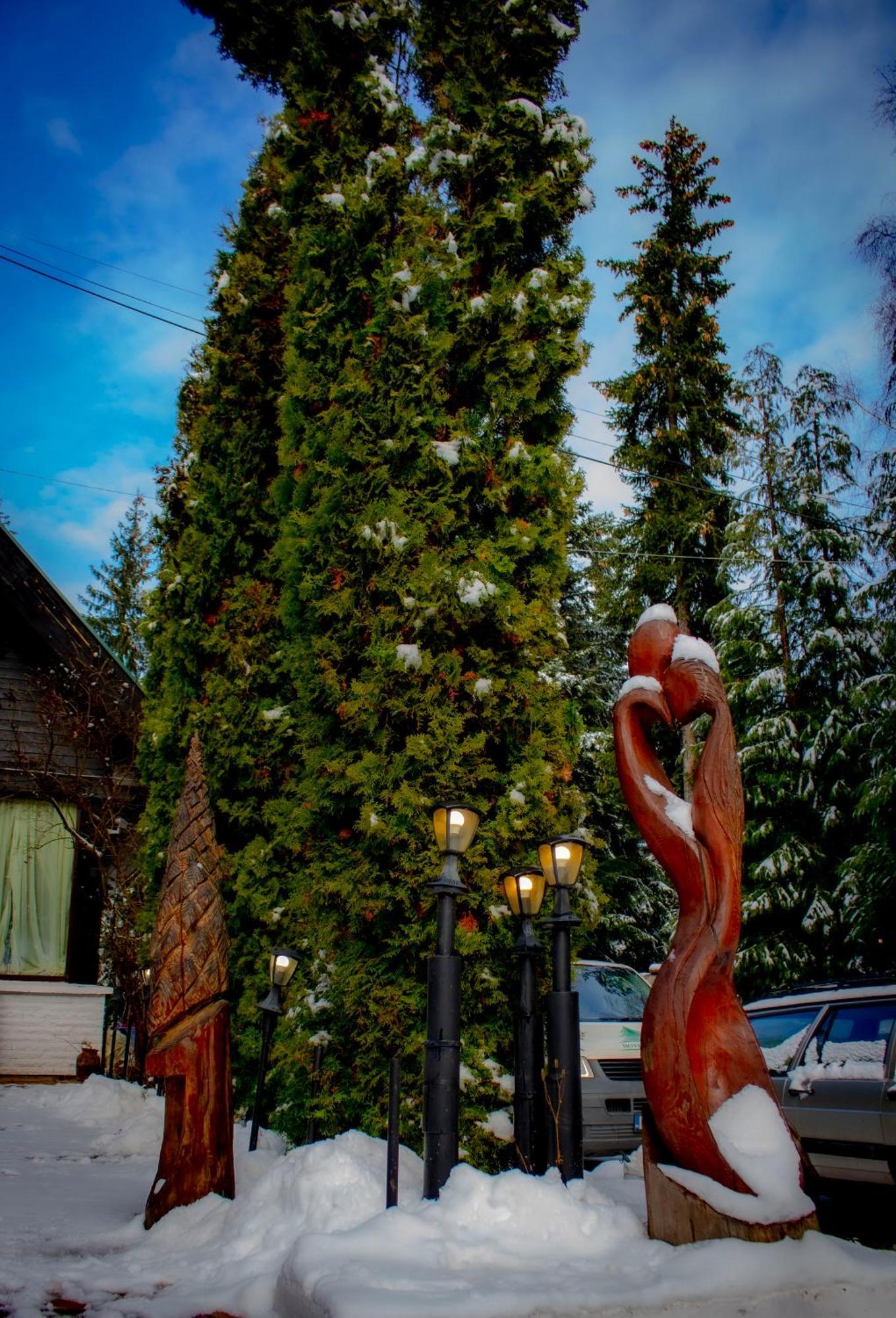 Breza Hotel Borovets Bagian luar foto
